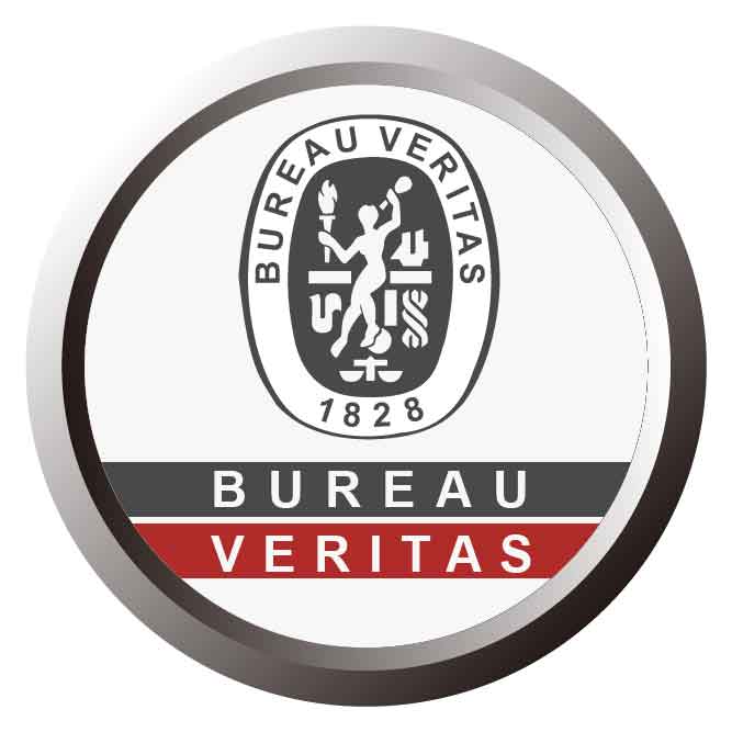 Ооо мкк веритас. Эмблема Bureau veritas. АО бюро Веритас Русь. Логотип бюро Веритас Русь. Bureau veritas 1828.