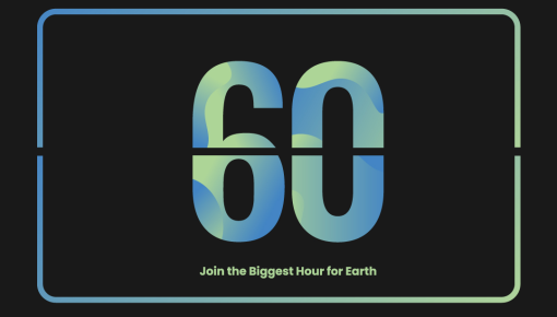 Value Valves Supports “Earth Hour”